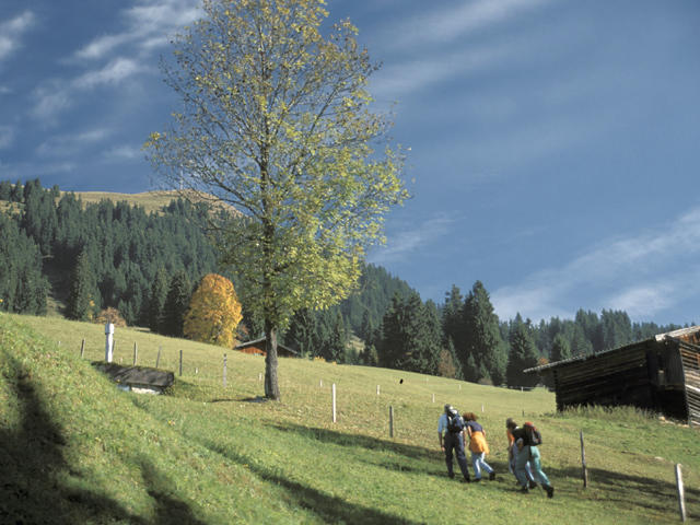 Neukumhof Apartment Westendorf Exterior photo